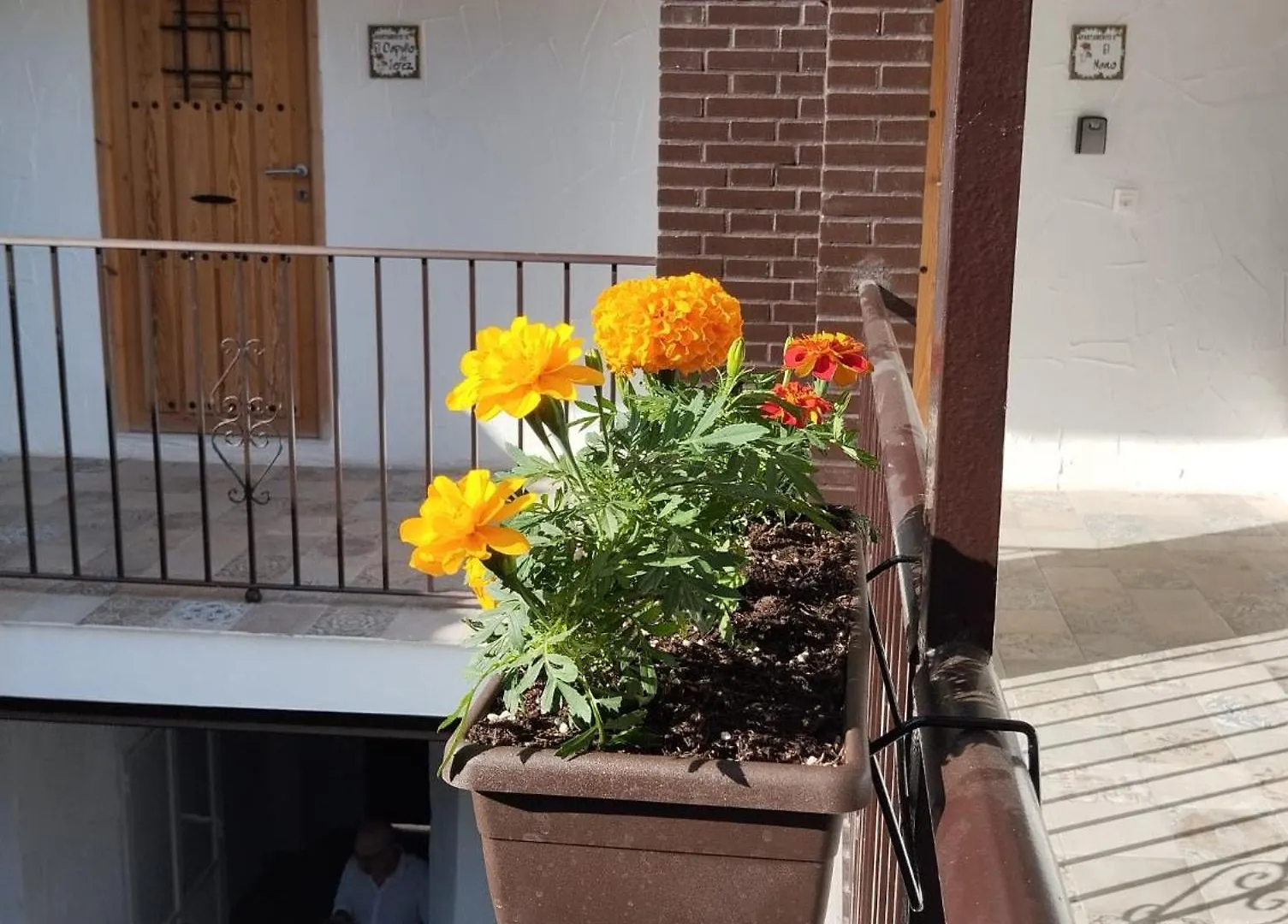 Apartment Suite San Mateos 15 Jerez de la Frontera